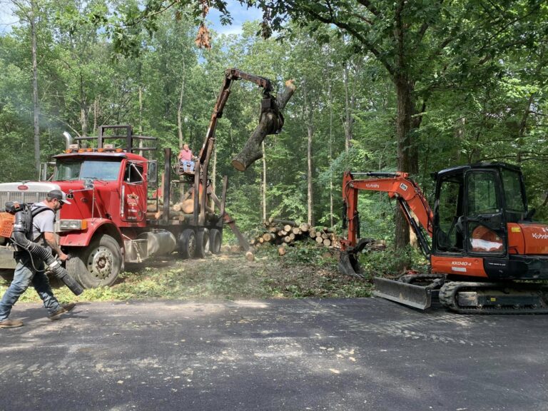 Lot clearing by Hoosier Dirt Guy Excavating in Trafalgar Indiana